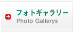  Photo Gallery / フォトギャラリー